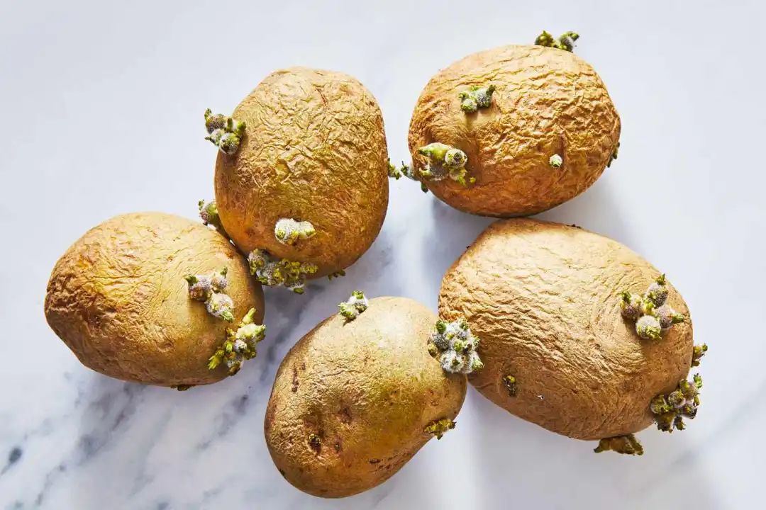 Can You Eat Sprouted Potatoes? An Expert Explains