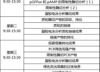 绿色基因营地简介